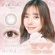 1day evercolor Natural 14.5mm ͥ ǡ С顼 ʥ (1Ȣ20)