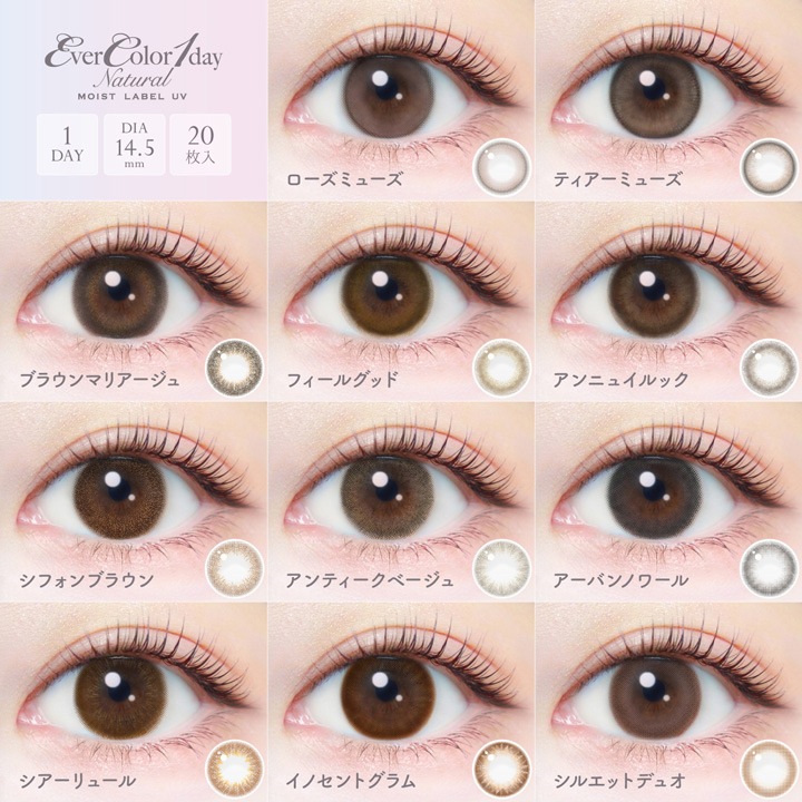 1day evercolor Natural Moist Label UV 14.5mm ͥ ǡ С顼 ʥ ⥤ȥ졼٥ UV (1Ȣ20)