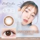 1day evercolor Natural Moist Label UV 14.5mm ͥ ǡ С顼 ʥ ⥤ȥ졼٥ UV (1Ȣ20)