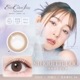 1day evercolor Natural Moist Label UV 14.5mm ͥ ǡ С顼 ʥ ⥤ȥ졼٥ UV (1Ȣ20)