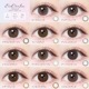1day evercolor Natural Moist Label UV 14.5mm ͥ ǡ С顼 ʥ ⥤ȥ졼٥ UV (1Ȣ20)