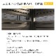 �͹��ڥ���߼��������С�3�� ʬ�䷿ �ۥ磻��