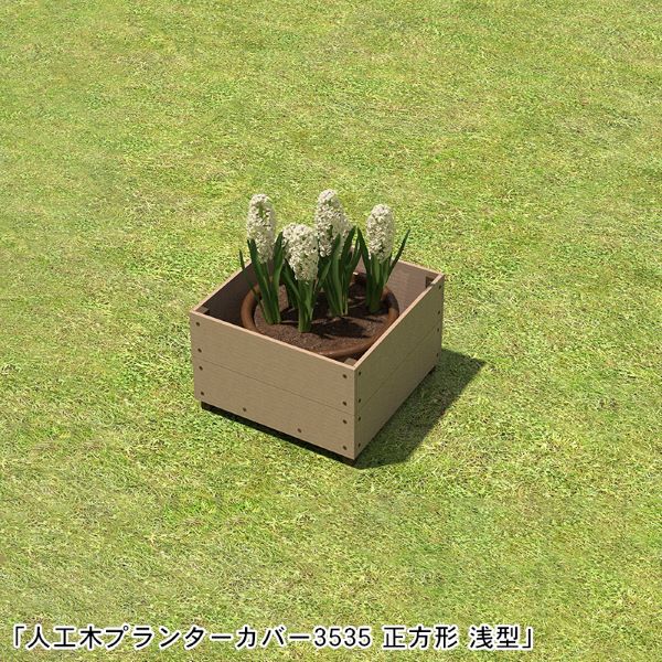 �͹��ڥץ�󥿡����С�3535 ������ ���� �Ӥʤ� ���å���֥饦�󡡿͹��� �ץ�󥿡� �����ǥ˥� ��������ZK-1��