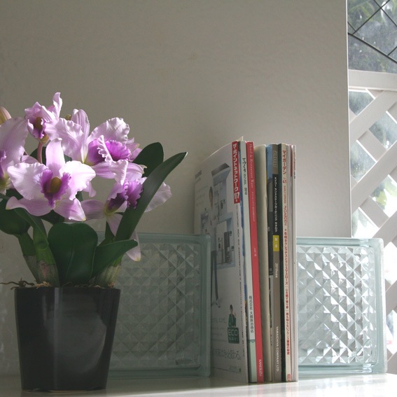 ���饹�֥��å����֥饦�󥯥饦�ǥ� (aks-46584)