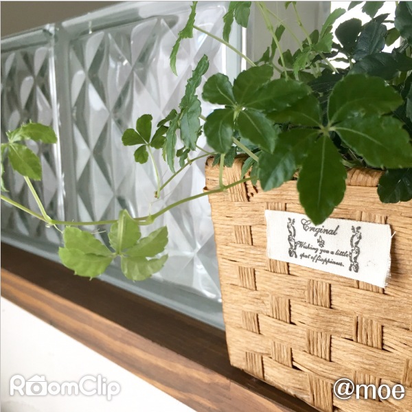 ���饹�֥��å������ꥢ���奨�� (aks-46638)