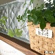 饹֥å6ĥåȡ (aksglassblock6set)