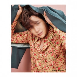 �ե������ A ver. �ޥ󥹥꡼�ǥ�����ѥͥ�