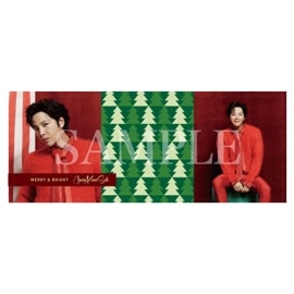 �ե��ȥϥ�ɥ������B��GREEN��2023 CHRISTMAS JKS
