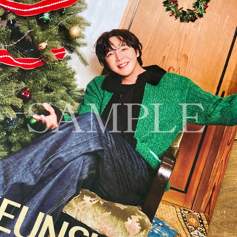 ��12������ͽ��ۥܥ��֥�󥱥åȡ�C.ξ��򹭤��ơ�2025 CHRISTMAS