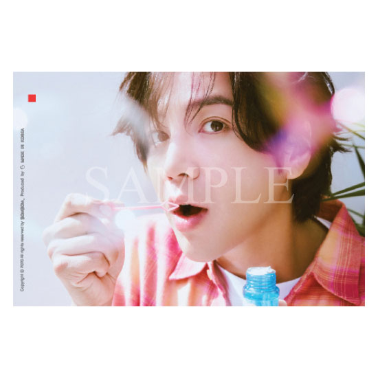����ܥ�̡�Ʒ�������� No.11 JKS Photo 2025