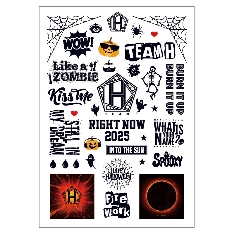 �ϥ������� ���ȥ��������� TEAM H RIGHT NOW 2025