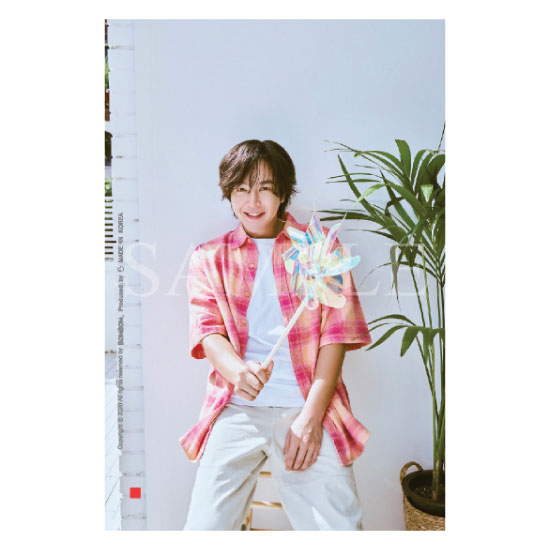 ����ܥ�̡ʤ�������ޡ� No.16 JKS Photo 2025