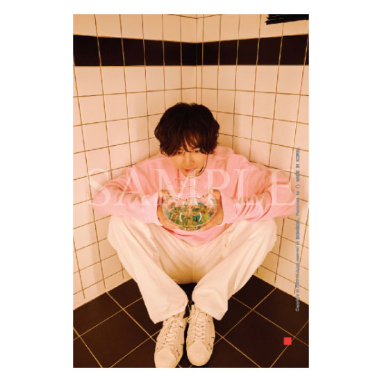 ���ȭ�ʺ¤�� No.29 JKS Photo 2025