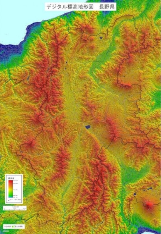 �ǥ�����ɸ���Ϸ��ޡ�Ĺ��� D1-789