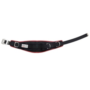 ����ݥ�����˥��Ѵ�� WP-R300DS-2BR