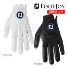 5�祻�å� ���� �եåȥ��祤 ����� ��� �������� FGNT24 �ʥΥ��å� �ĥ��� FOOTJOY GOLF NANOLOCK TOUR  ���� �Ҽ� ������ 24AWE YPP