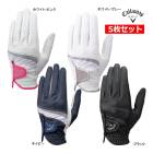 ���� 5�祻�å� ����������� ����� ��ǥ����� �������� Style Glove Women's �������� 25 Callaway GOLF GLOVE �Ҽ� ���� ������ 25SSE YPP
