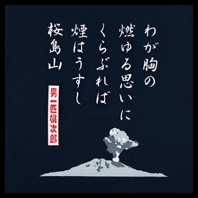 トラック野郎男一匹ももじろう最終値下げになります トラック野郎一番星値下げ男一匹桃次郎デコトラプラモデル三菱