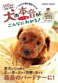 �����ܲ�������ʤˤ狼�롪�ϥ�ǥ���