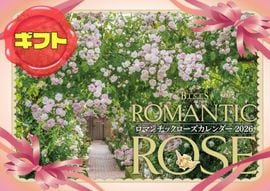 けんちゃん　中国大明萬暦年製五彩人物花文輪花鉢直径約36㎝V　R7864C 大輪胡蝶蘭5本立ち 40輪～50輪程度 白 - けんちゃんの胡蝶蘭