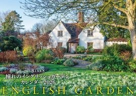 BISESƴΥ󥰥å奬ǥ󥫥2026