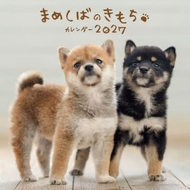 �ޤᤷ�ФΤ������������2027