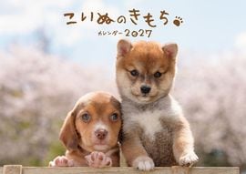 �����̤Τ������������2027