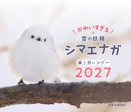 ����������ޥ��ʥ���奫������2027