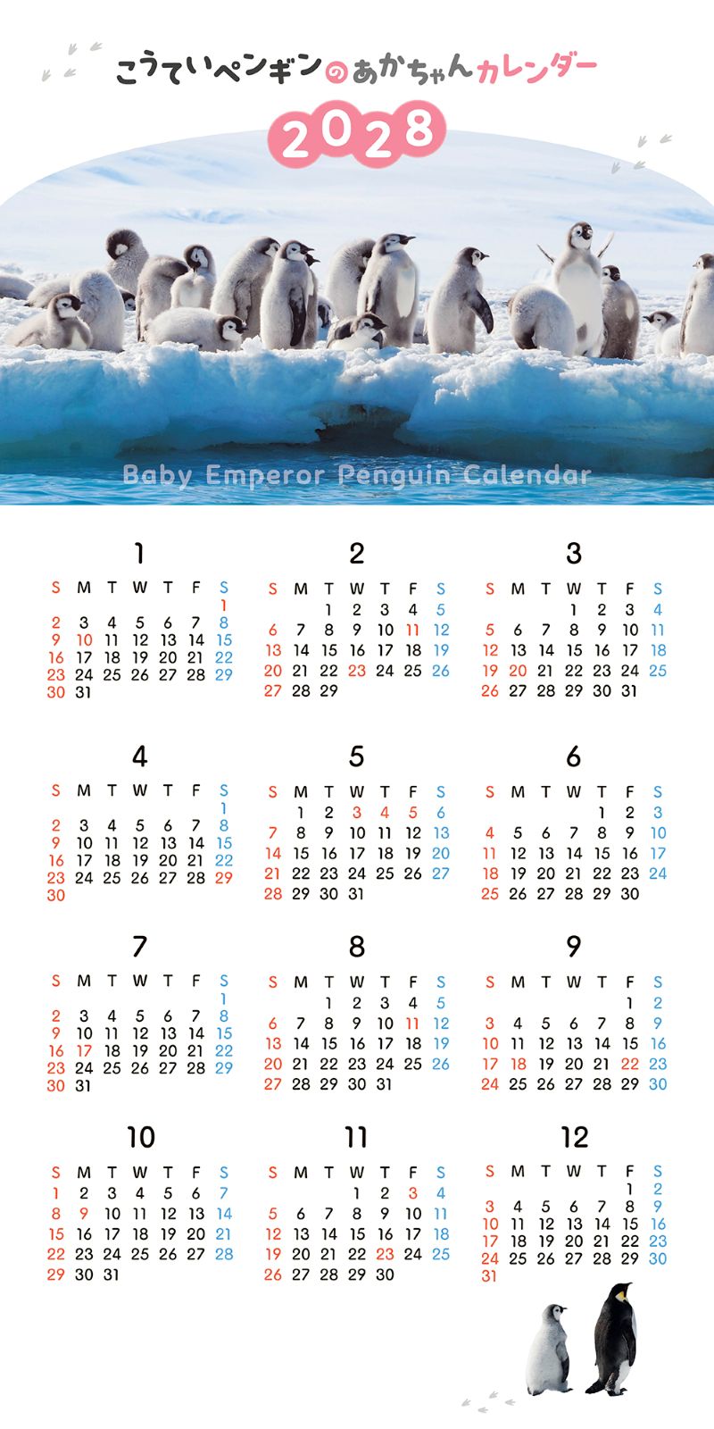 �����Ƥ��ڥ󥮥�Τ�������󥫥�����2027