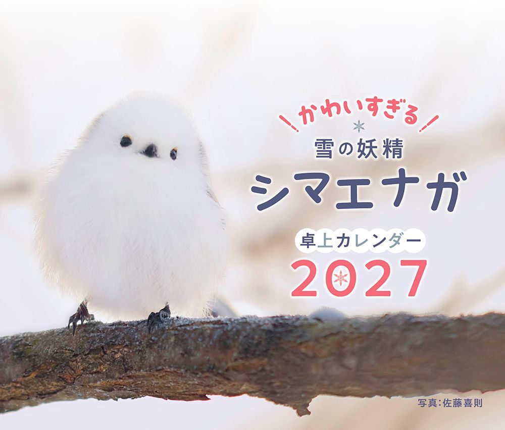 ����������ޥ��ʥ���奫������2027
