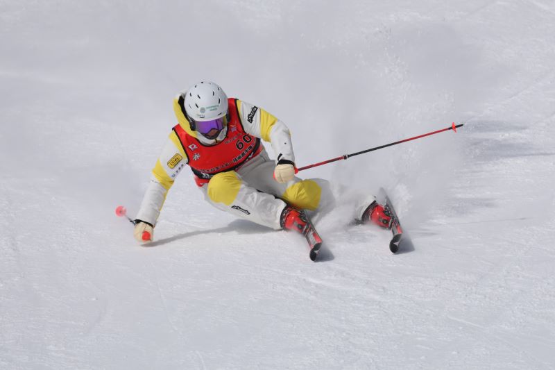 ��DVD�۵�����2024