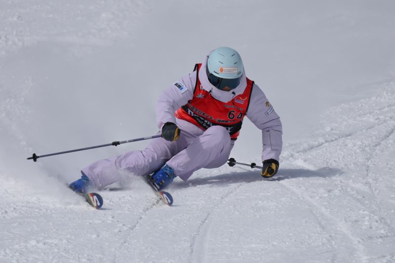 ��DVD�۵�����2024