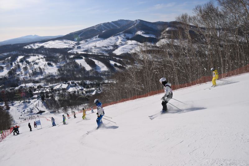 ��DVD�۵�����2024