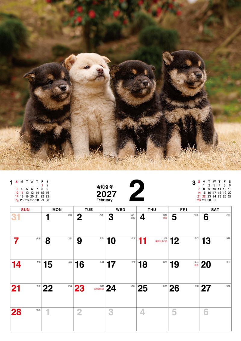 ���������Ƥ�������������2027