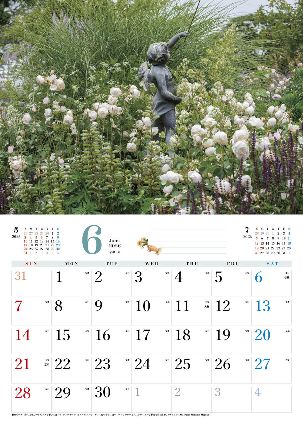 BISES���ޥ���å���������������2026