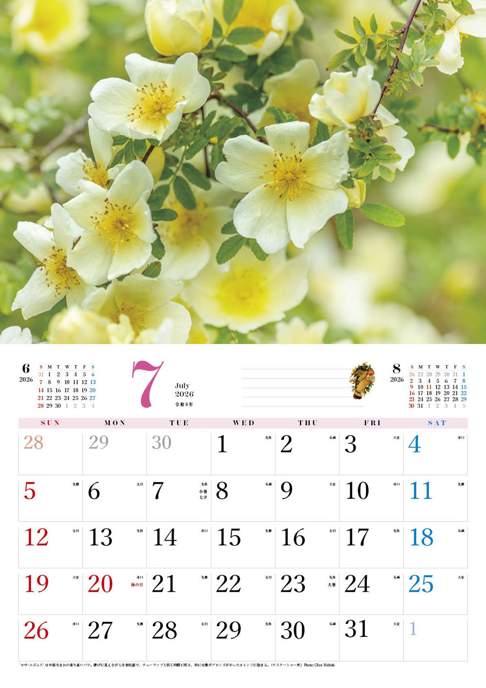 BISES���ޥ���å���������������2026