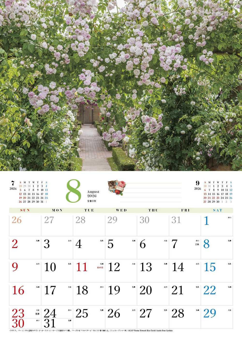 �ڥ��եȡ�BISES���ޥ���å���������������2026