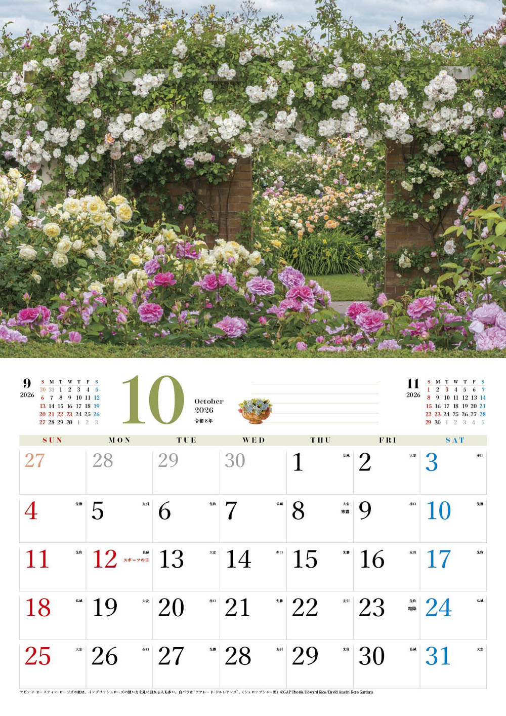 �ڥ��եȡ�BISES���ޥ���å���������������2026