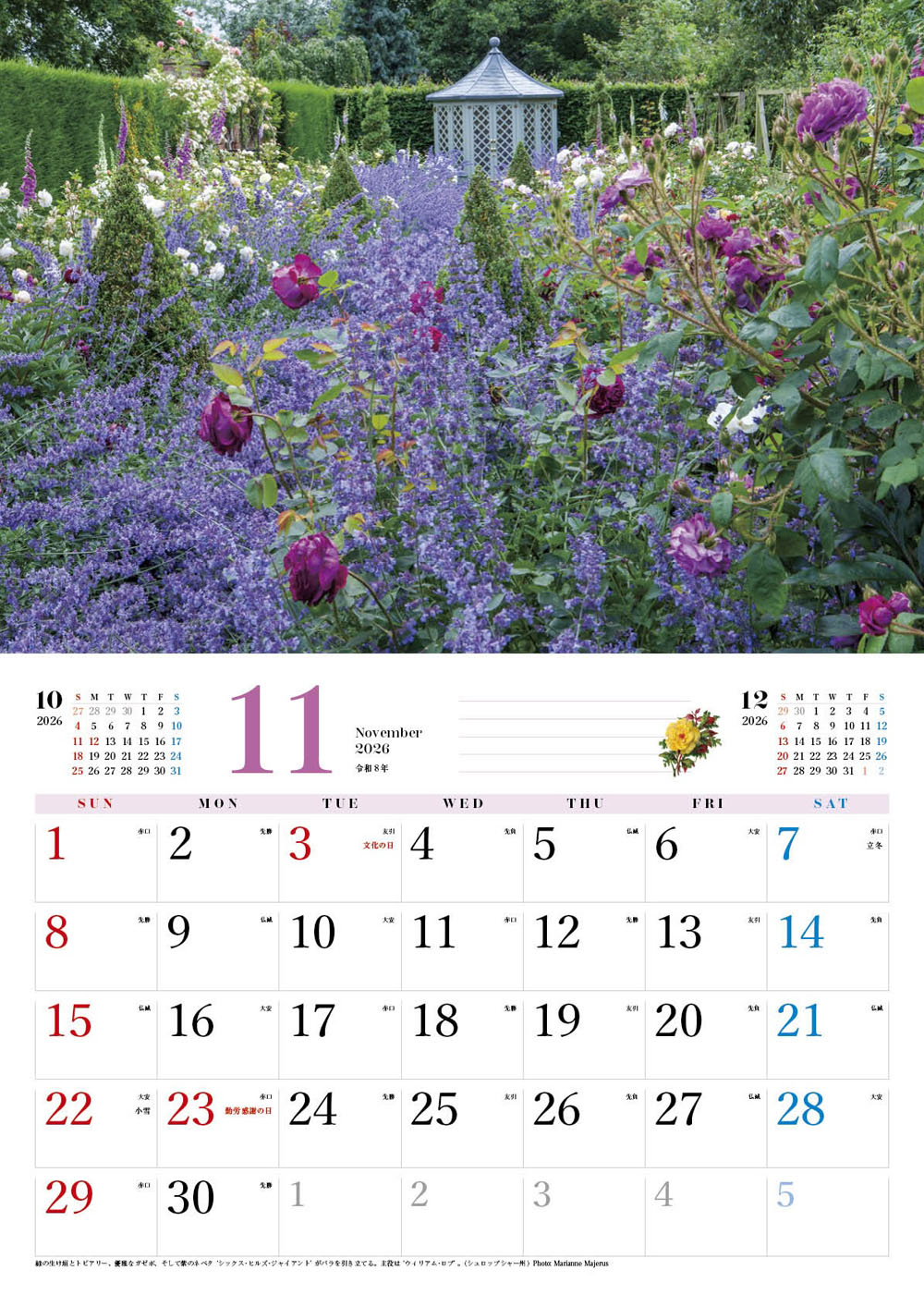 �ڥ��եȡ�BISES���ޥ���å���������������2026