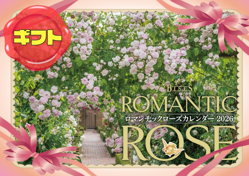 �ڥ��եȡ�BISES���ޥ���å���������������2026