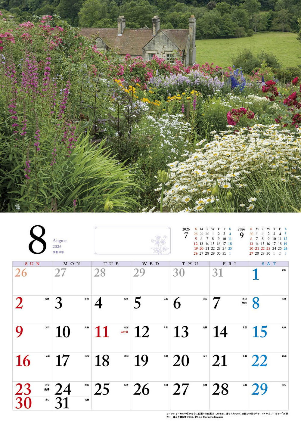 BISESƴ��Υ��󥰥�å��奬���ǥ󥫥�����2026