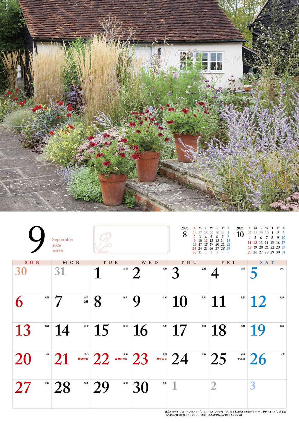 BISESƴ��Υ��󥰥�å��奬���ǥ󥫥�����2026