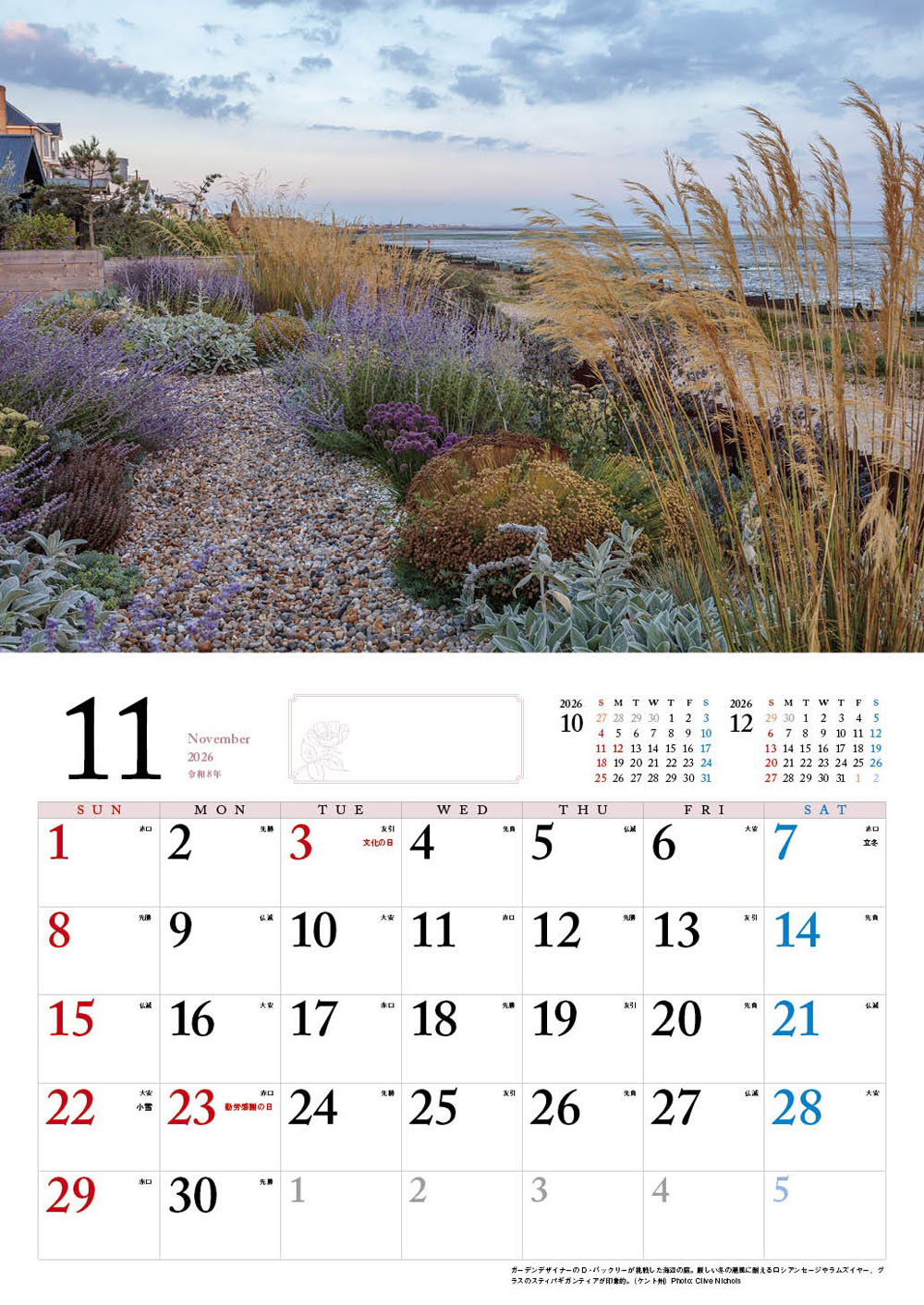 BISESƴ��Υ��󥰥�å��奬���ǥ󥫥�����2026