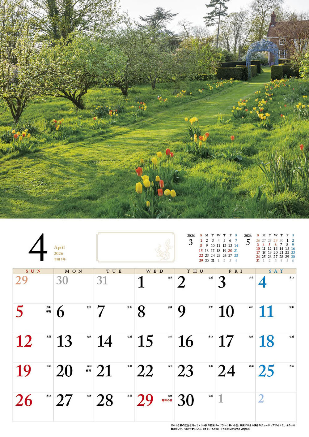 BISESƴ��Υ��󥰥�å��奬���ǥ󥫥�����2026