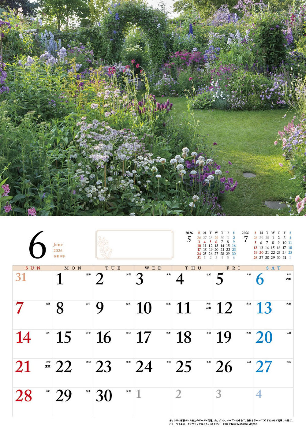 BISESƴ��Υ��󥰥�å��奬���ǥ󥫥�����2026