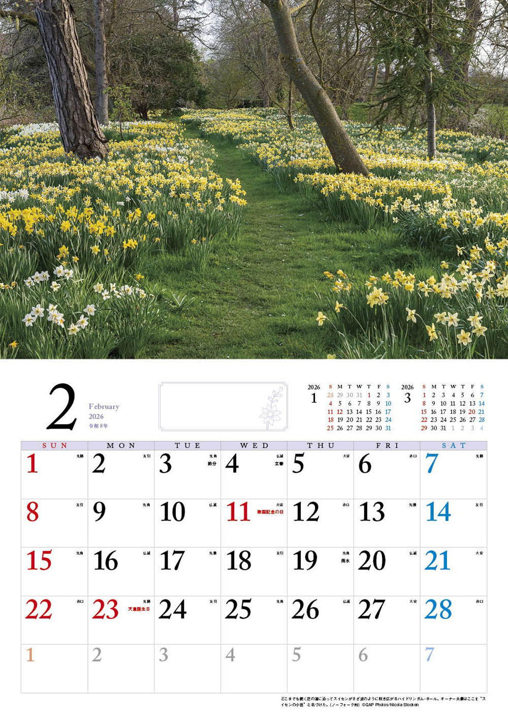 �ڥ��եȡ�BISESƴ��Υ��󥰥�å��奬���ǥ󥫥�����2026