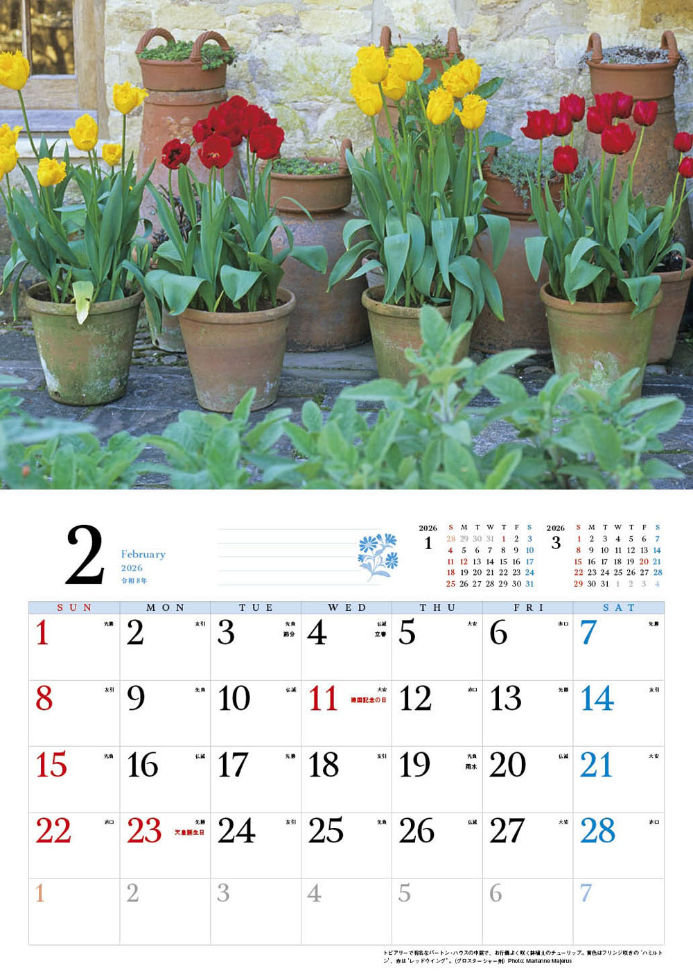 BISES�ѹ����໶�⥳�åĥ����륺��������2026