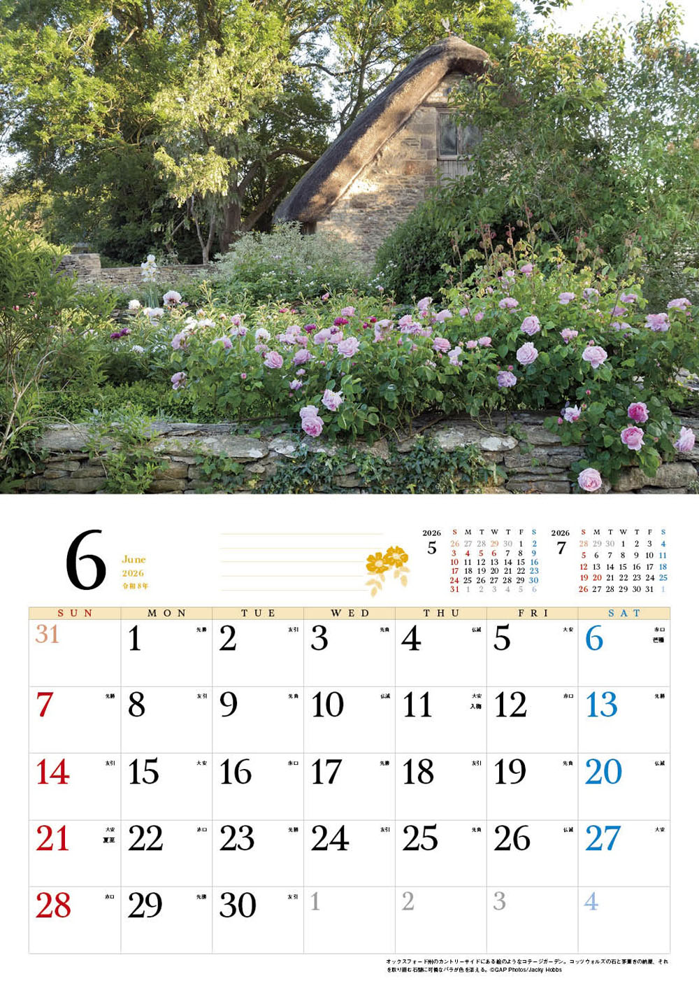 BISES�ѹ����໶�⥳�åĥ����륺��������2026