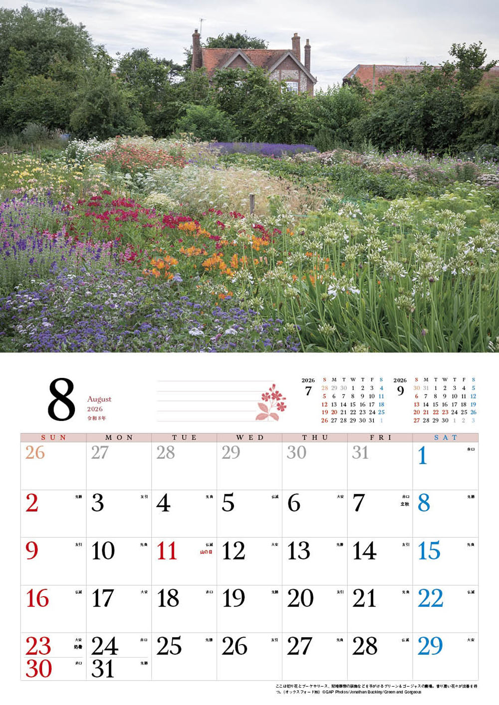 �ڥ��եȡ�BISES�ѹ����໶�⥳�åĥ����륺��������2026