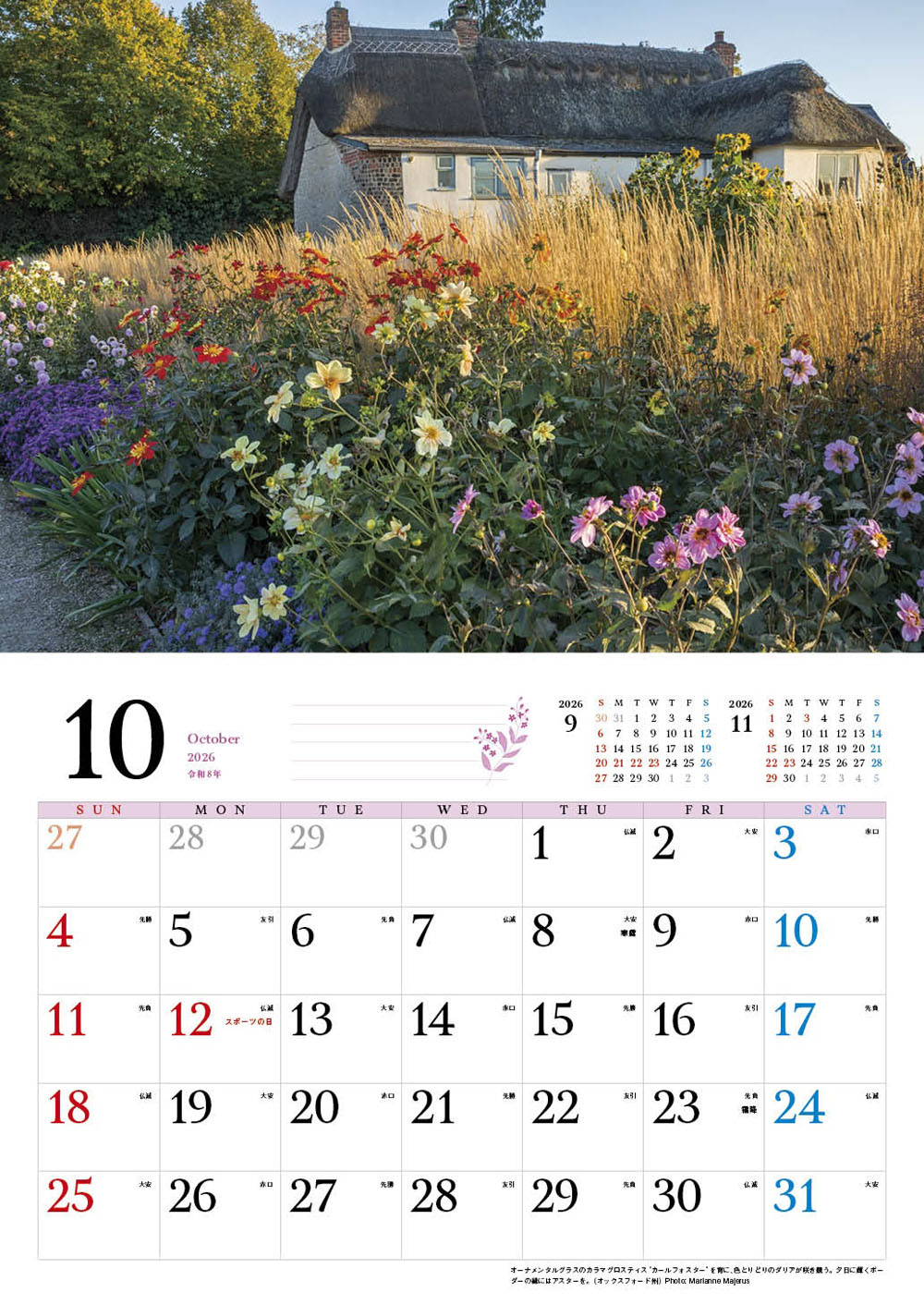 �ڥ��եȡ�BISES�ѹ����໶�⥳�åĥ����륺��������2026